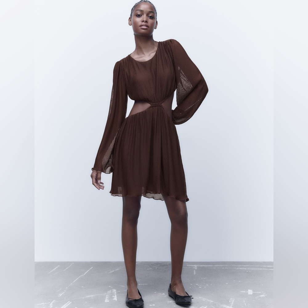 NWT ZARA-Cut Out Pleated Dress